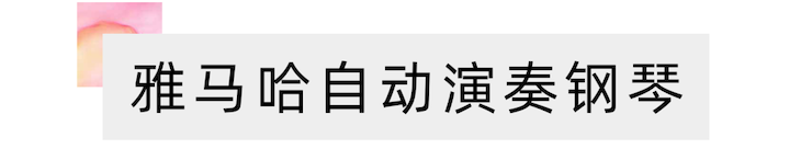 活动报道 | 远程艺术教育大师课活动—JDB电子网址艺术家吴晓大师课